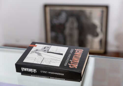 Kiemelt kép a Krasznahorkai László és Deim Pál Szentendréje című bejegyzéshez