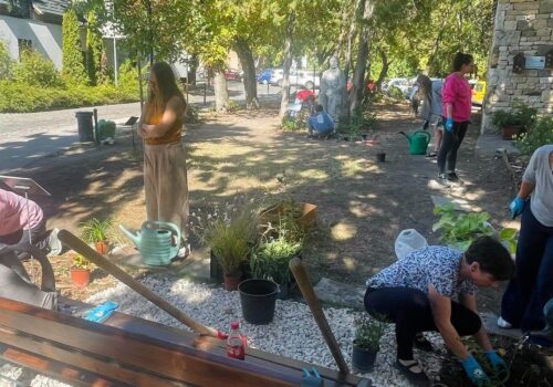 Kiemelt kép a Olvasóliget és petanque pálya a PMK-nál című bejegyzéshez
